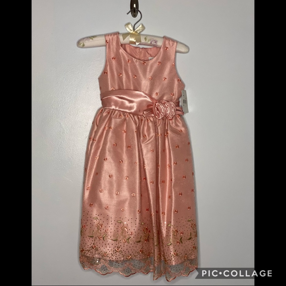 NWT. Little girls pink party dress.
